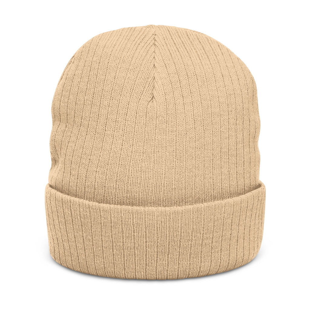 "Carry Less" Embroidered Ribbed Knit Beanie — Mainely Human